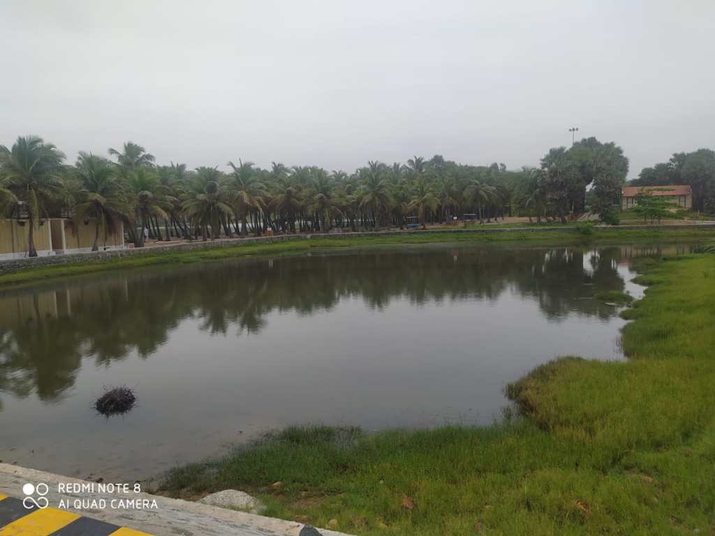 eden beach Pondicherry