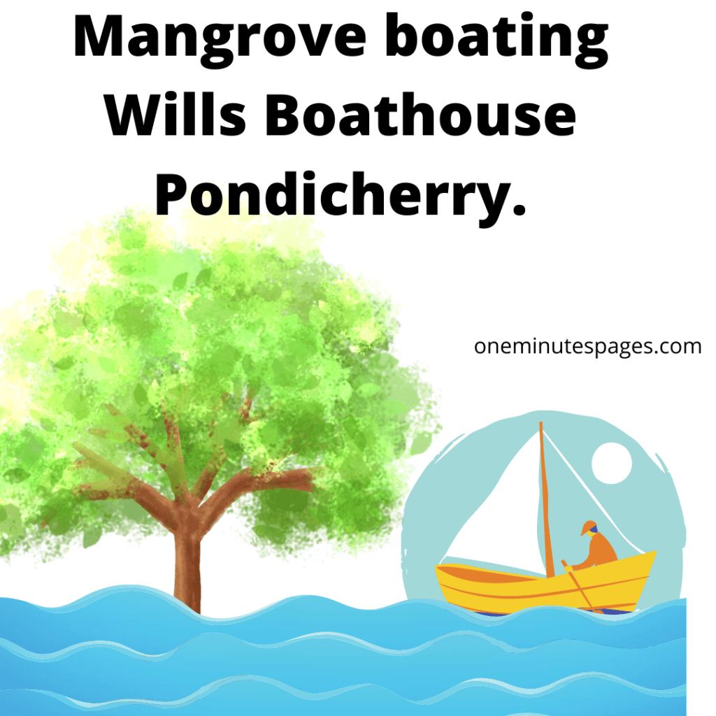 Mangrove boating Wills Boathouse Pondicherry.