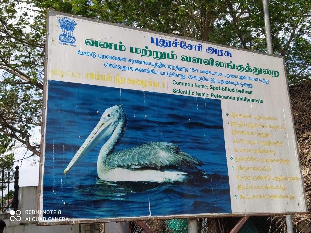 Ousteri lake pondicherry